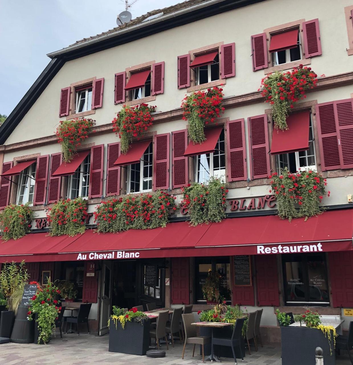 Hotel Spa Au Cheval Blanc Рибовиль Экстерьер фото